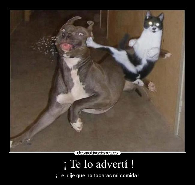 ¡ Te lo advertí ! - 