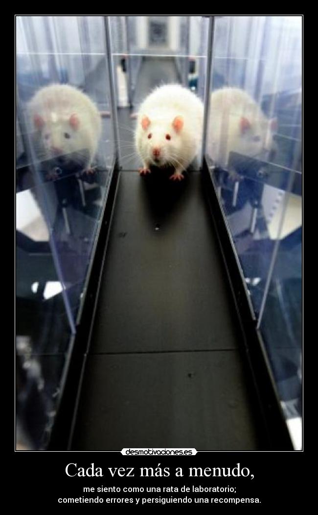 Cada vez más a menudo, - me siento como una rata de laboratorio;
cometiendo errores y persiguiendo una recompensa.