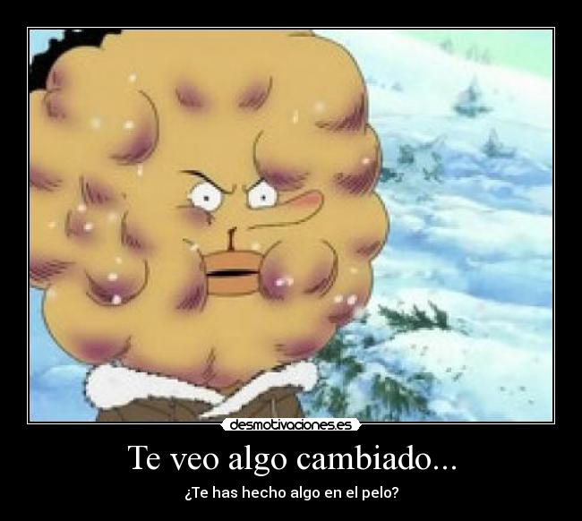 Te veo algo cambiado... -