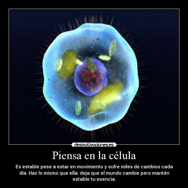 carteles espero que esta analogia sirva rinascita desmotivaciones