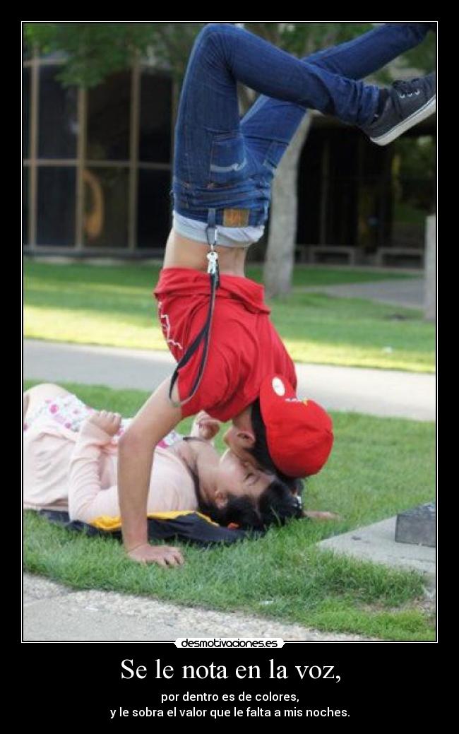 carteles joseph yanez desmotivaciones