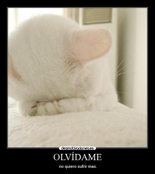 OLVÍDAME - no quiero sufrir mas.