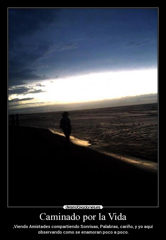 Caminado por la Vida - 