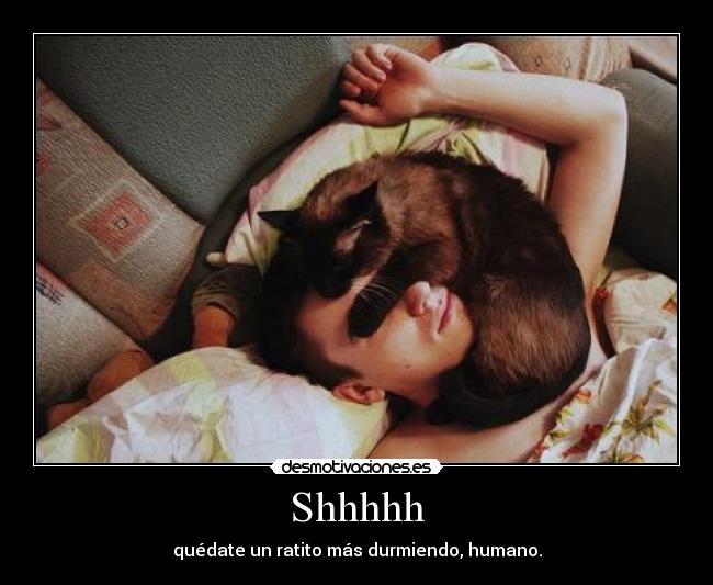 Shhhhh - quédate un ratito más durmiendo, humano.