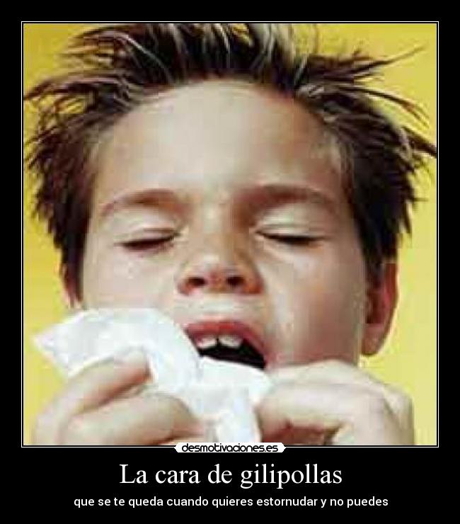 carteles cara gilipollas desmotivaciones