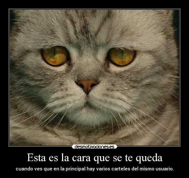 Esta es la cara que se te queda - cuando ves que en la principal hay varios carteles del mismo usuario.