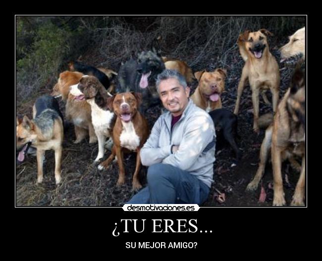 ¿TU ERES... - SU MEJOR AMIGO?