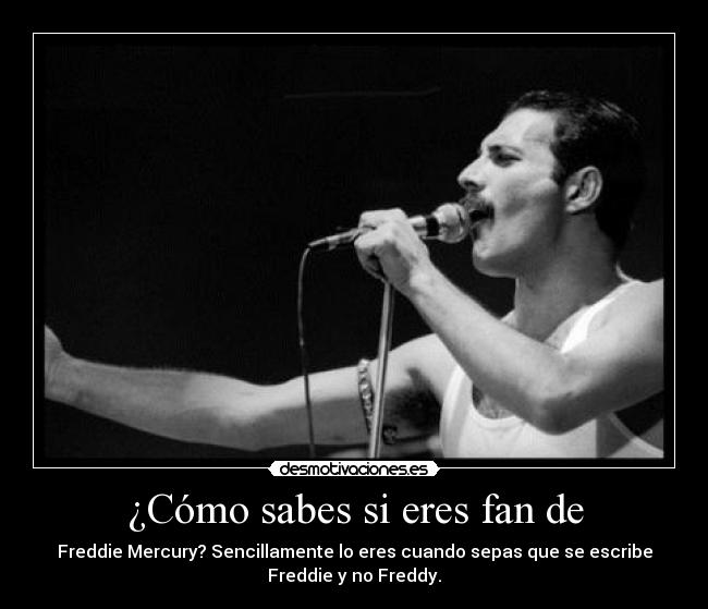 ¿Cómo sabes si eres fan de - Freddie Mercury? Sencillamente lo eres cuando sepas que se escribe
Freddie y no Freddy.