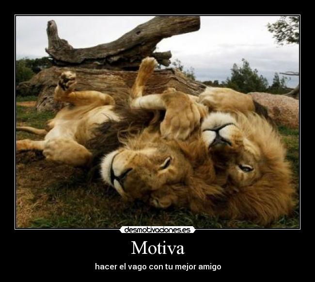 Motiva - hacer el vago con tu mejor amigo