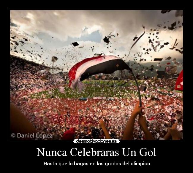 Nunca Celebraras Un Gol - Hasta que lo hagas en las gradas del olimpico