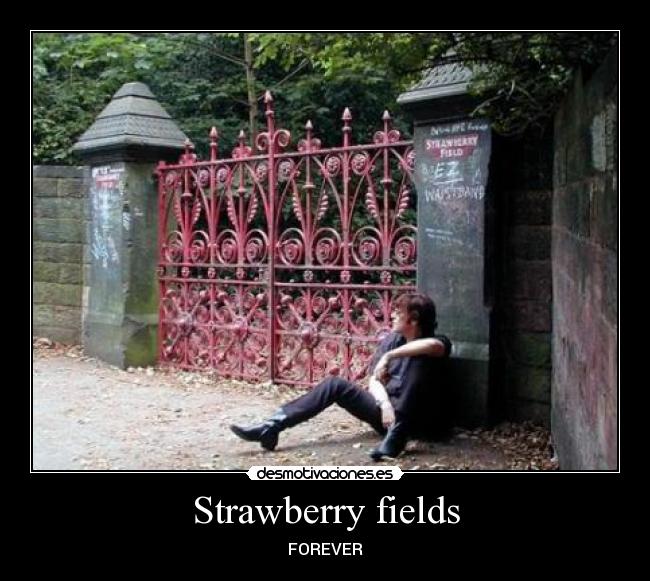Strawberry fields - FOREVER♥