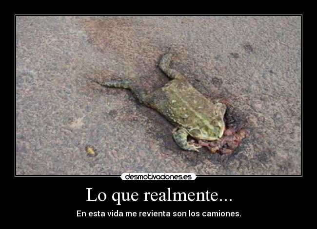 Lo que realmente... -