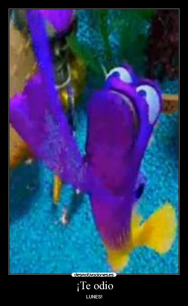 carteles odio odio lunes desmotivaciones