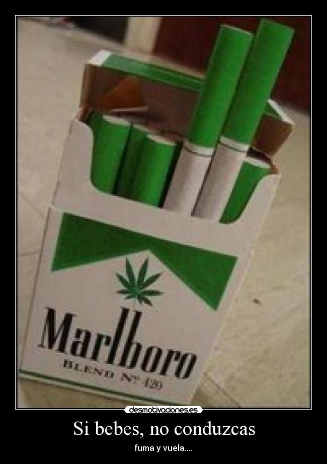 Si bebes, no conduzcas - 