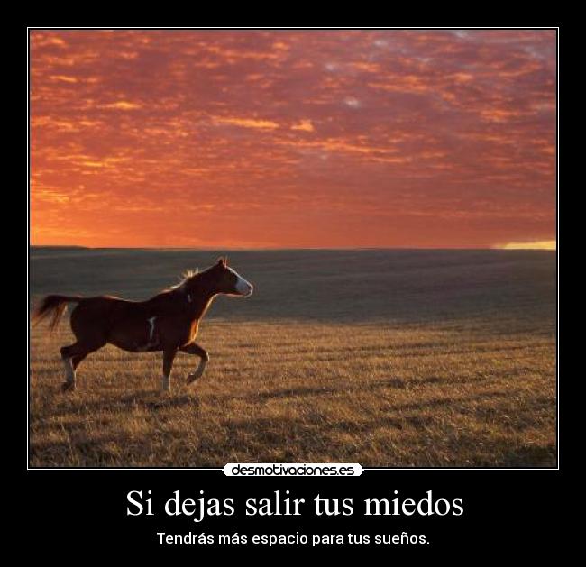 Si dejas salir tus miedos -
