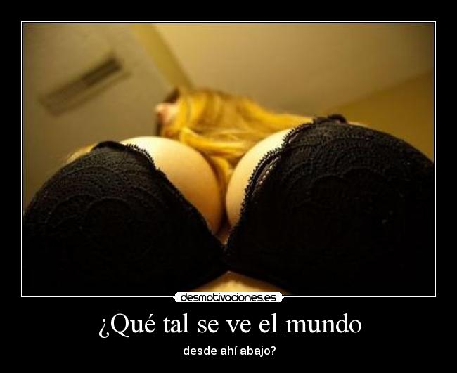 ¿Qué tal se ve el mundo - desde ahí abajo?