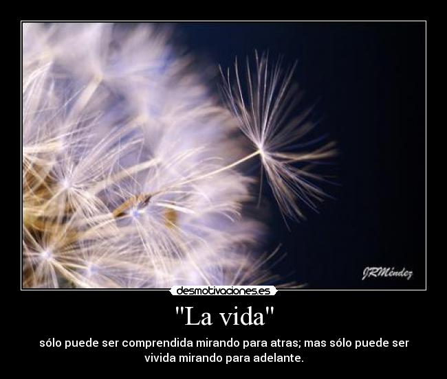 La vida - 