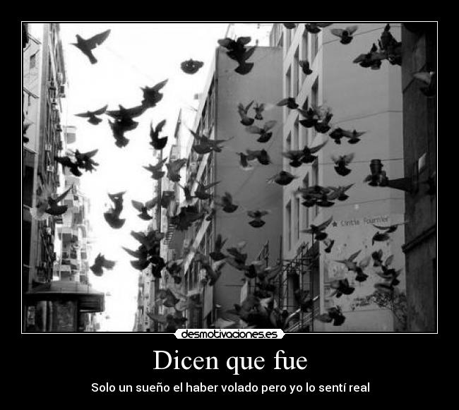 Dicen que fue - Solo un sueño el haber volado pero yo lo sentí real