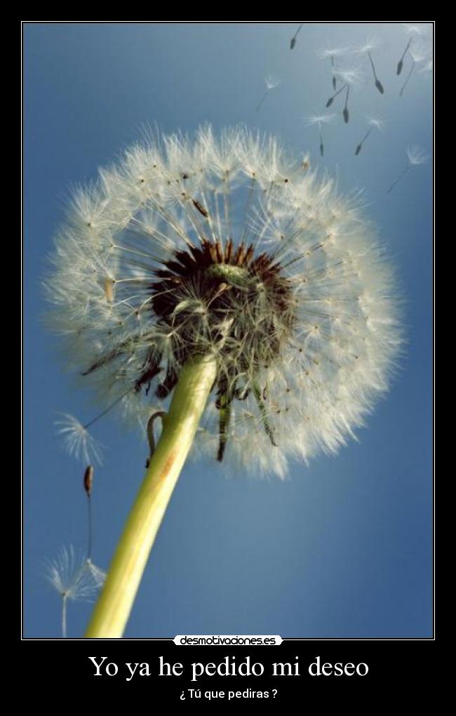 Yo ya he pedido mi deseo - ¿ Tú que pediras ?