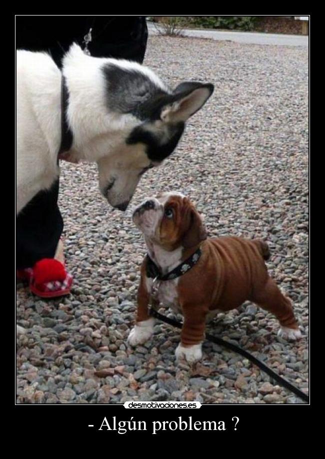 - Algún problema ? -