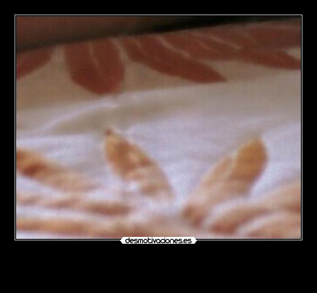 carteles las ardillas molan megacartel 2425 desmotivaciones