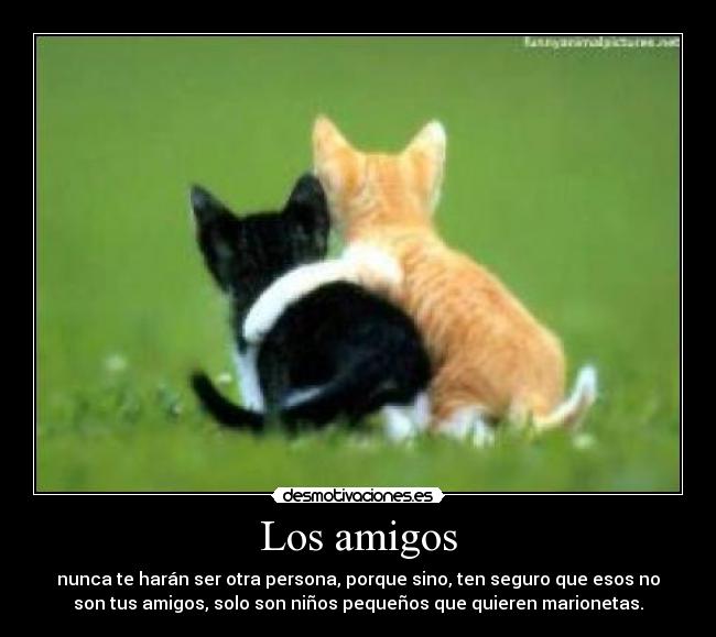 Los amigos - 