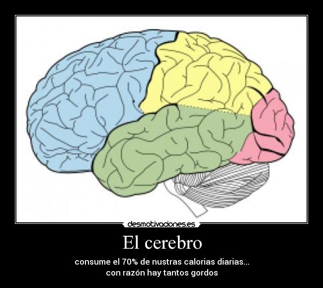 carteles primer regla del clananticlan hablar del clananticlan desmotivaciones