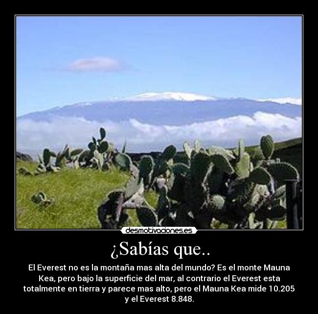 ¿Sabías que.. - El Everest no es la montaña mas alta del mundo? Es el monte Mauna
Kea, pero bajo la superficie del mar, al contrario el Everest esta
totalmente en tierra y parece mas alto, pero el Mauna Kea mide 10.205
y el Everest 8.848.