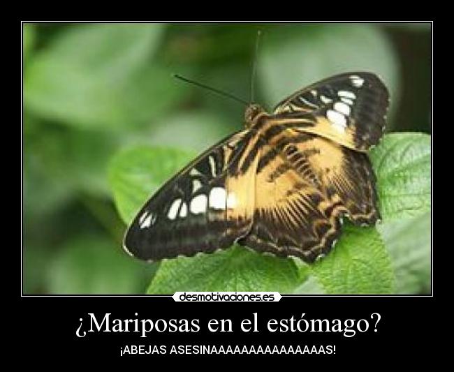 ¿Mariposas en el estómago? -