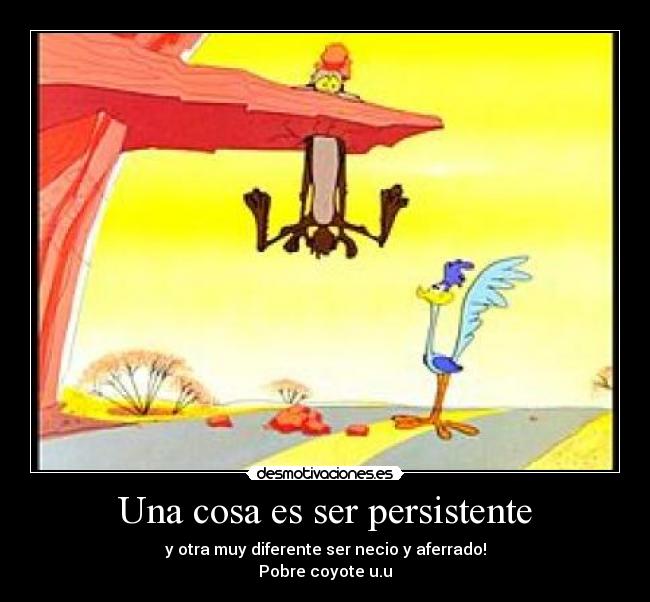 Una cosa es ser persistente - y otra muy diferente ser necio y aferrado!
Pobre coyote u.u