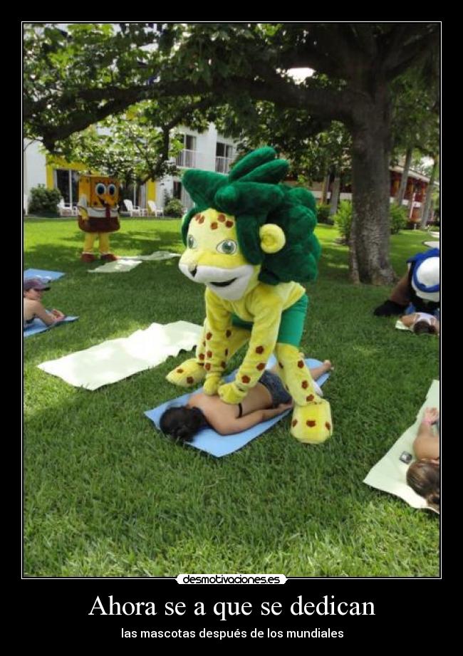 Ahora se a que se dedican - las mascotas después de los mundiales