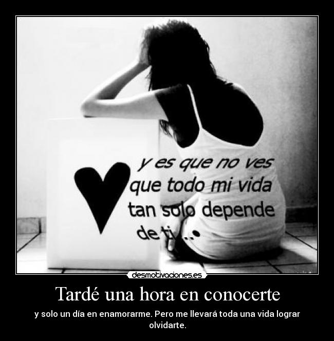 carteles amor desmotivaciones