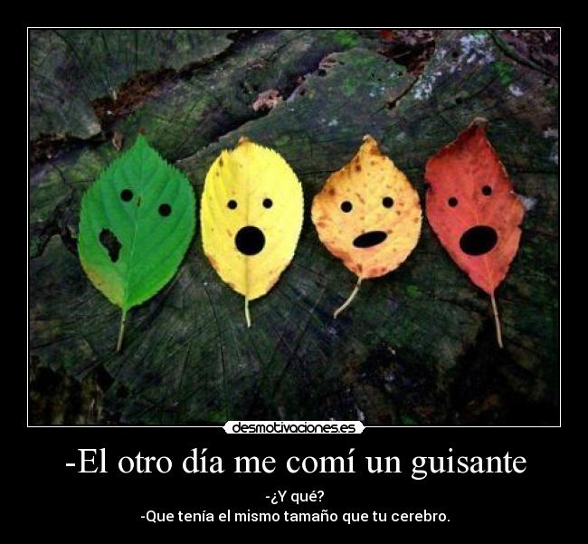 carteles hay gente que tiene cabeza solo para llevar pelo desmotivaciones