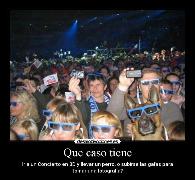 Que caso tiene - Ir a un Concierto en 3D y llevar un perro, o subirse las gafas para
tomar una fotografía?