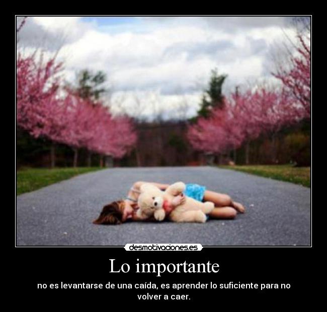 Lo importante - no es levantarse de una caída, es aprender lo suficiente para no volver a caer.