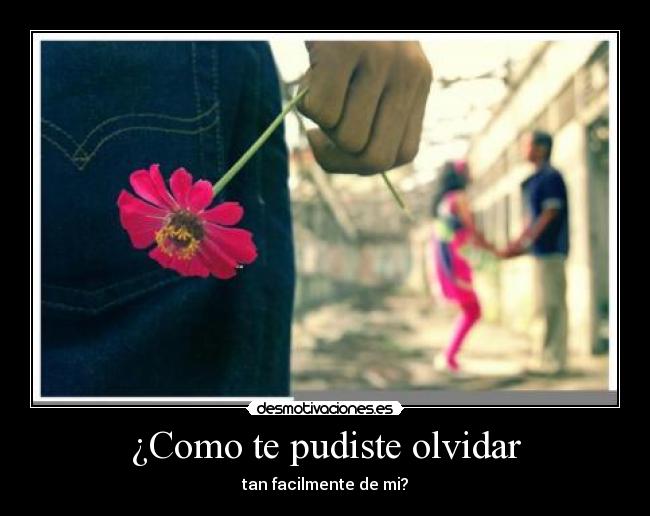 ¿Como te pudiste olvidar - 