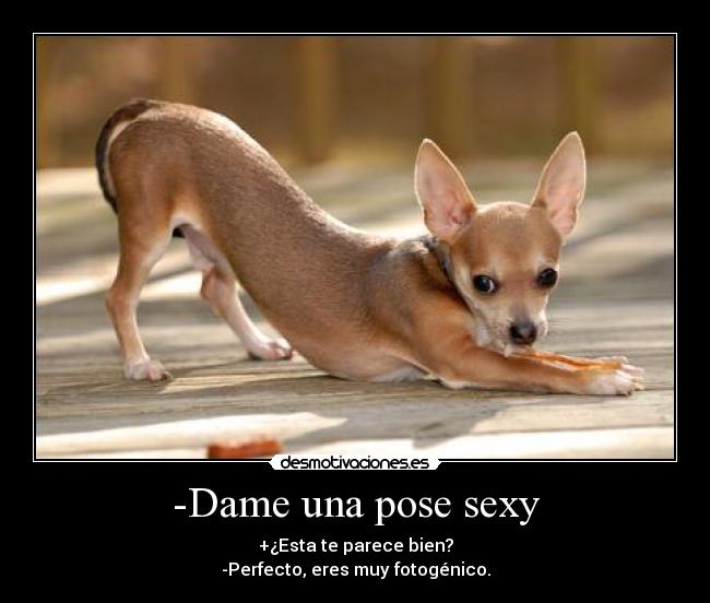 -Dame una pose sexy - +¿Esta te parece bien?
-Perfecto, eres muy fotogénico.
