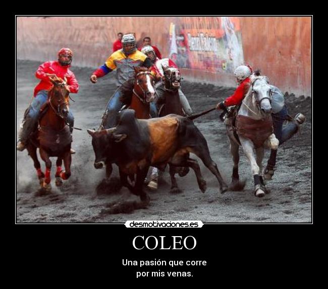 COLEO -
