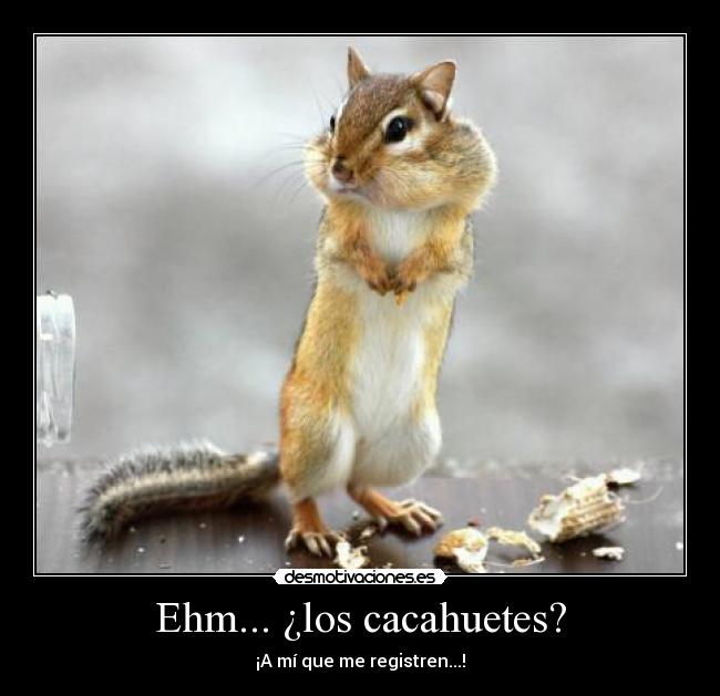 carteles cacahuetes desmotivaciones