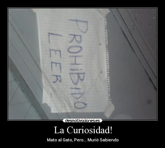 La Curiosidad! -