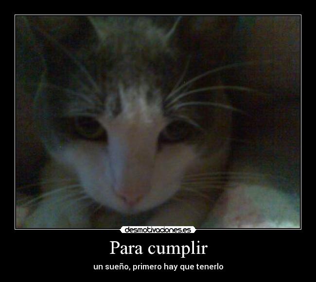 Para cumplir - un sueño, primero hay que tenerlo