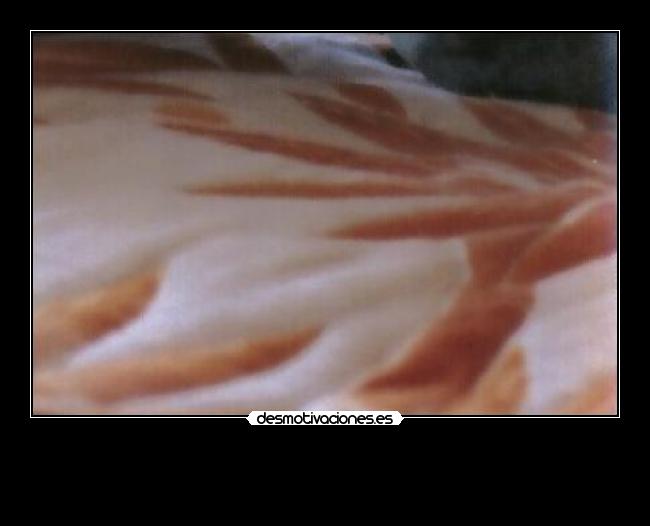 carteles las ardillas molan megacartel 2525 desmotivaciones