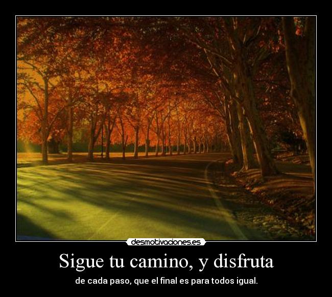 Sigue tu camino, y disfruta - 