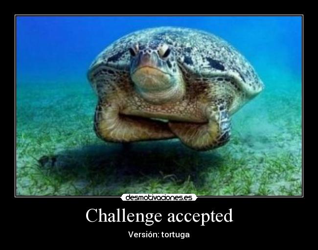 Challenge accepted - Versión: tortuga