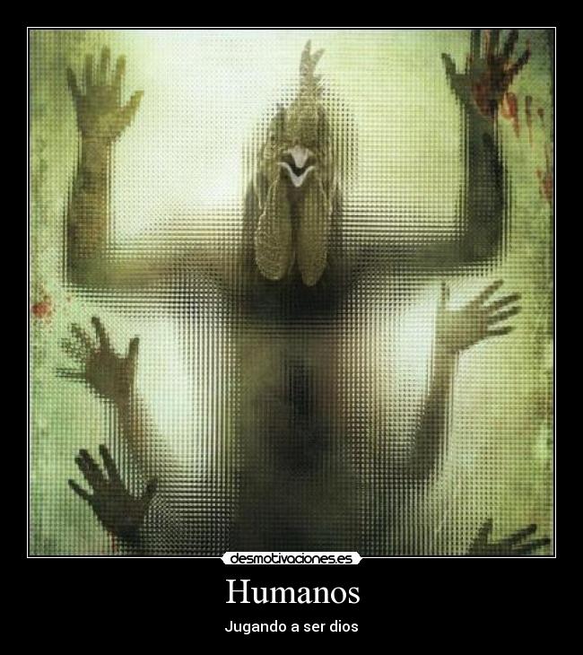 Humanos - 