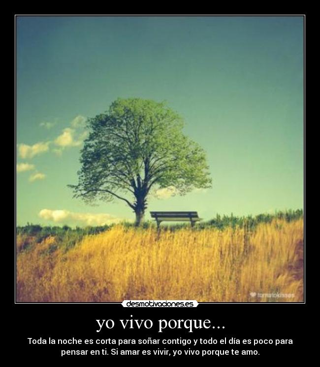 yo vivo porque... - Toda la noche es corta para soñar contigo y todo el día es poco para
pensar en ti. Si amar es vivir, yo vivo porque te amo.