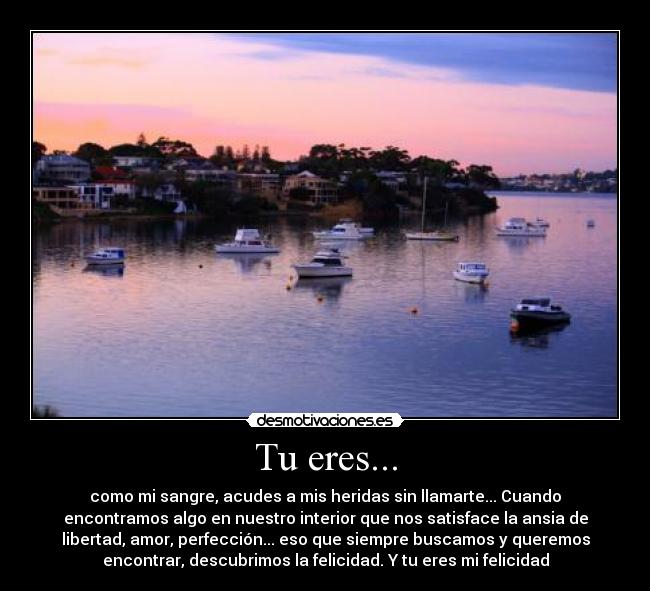 Tu eres... - como mi sangre, acudes a mis heridas sin llamarte... Cuando
encontramos algo en nuestro interior que nos satisface la ansia de
libertad, amor, perfección... eso que siempre buscamos y queremos
encontrar, descubrimos la felicidad. Y tu eres mi felicidad