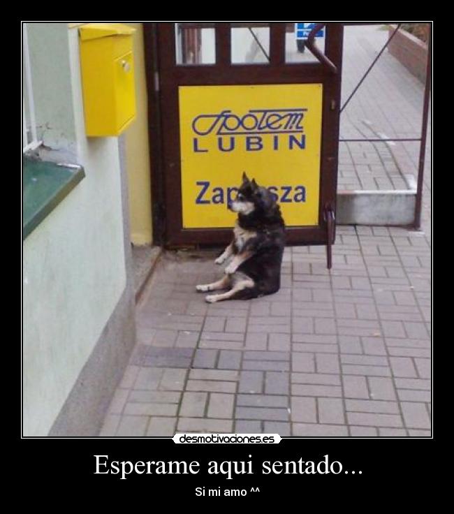 Esperame aqui sentado... - Si mi amo ^^