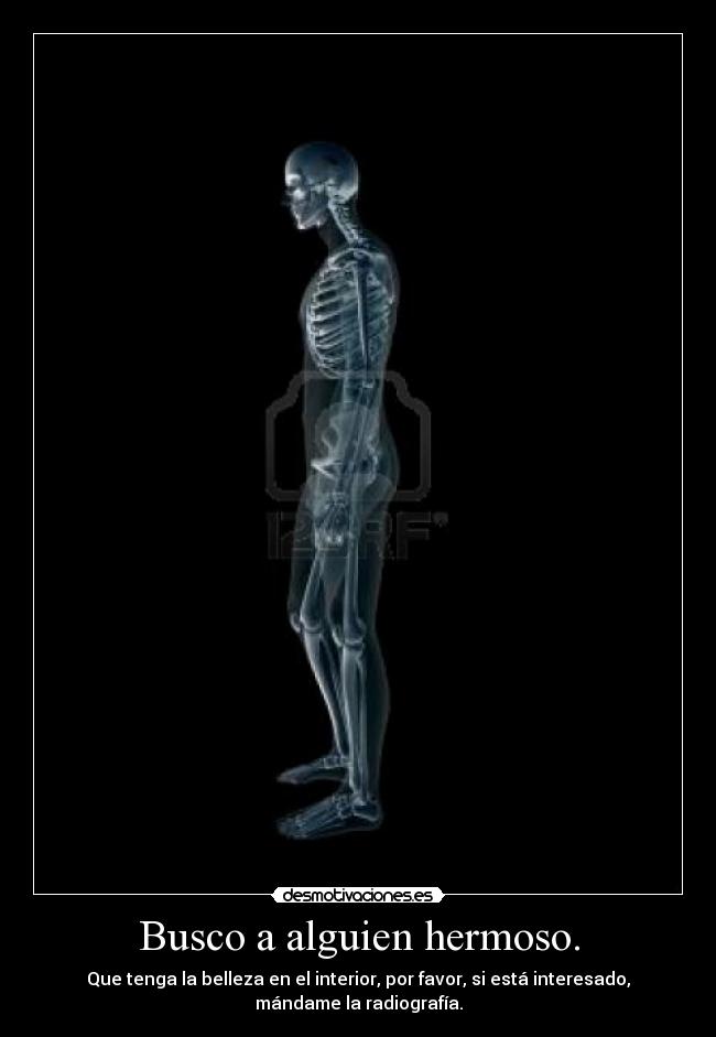 Busco a alguien hermoso. -