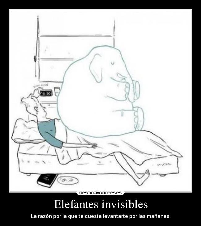 Elefantes invisibles - 